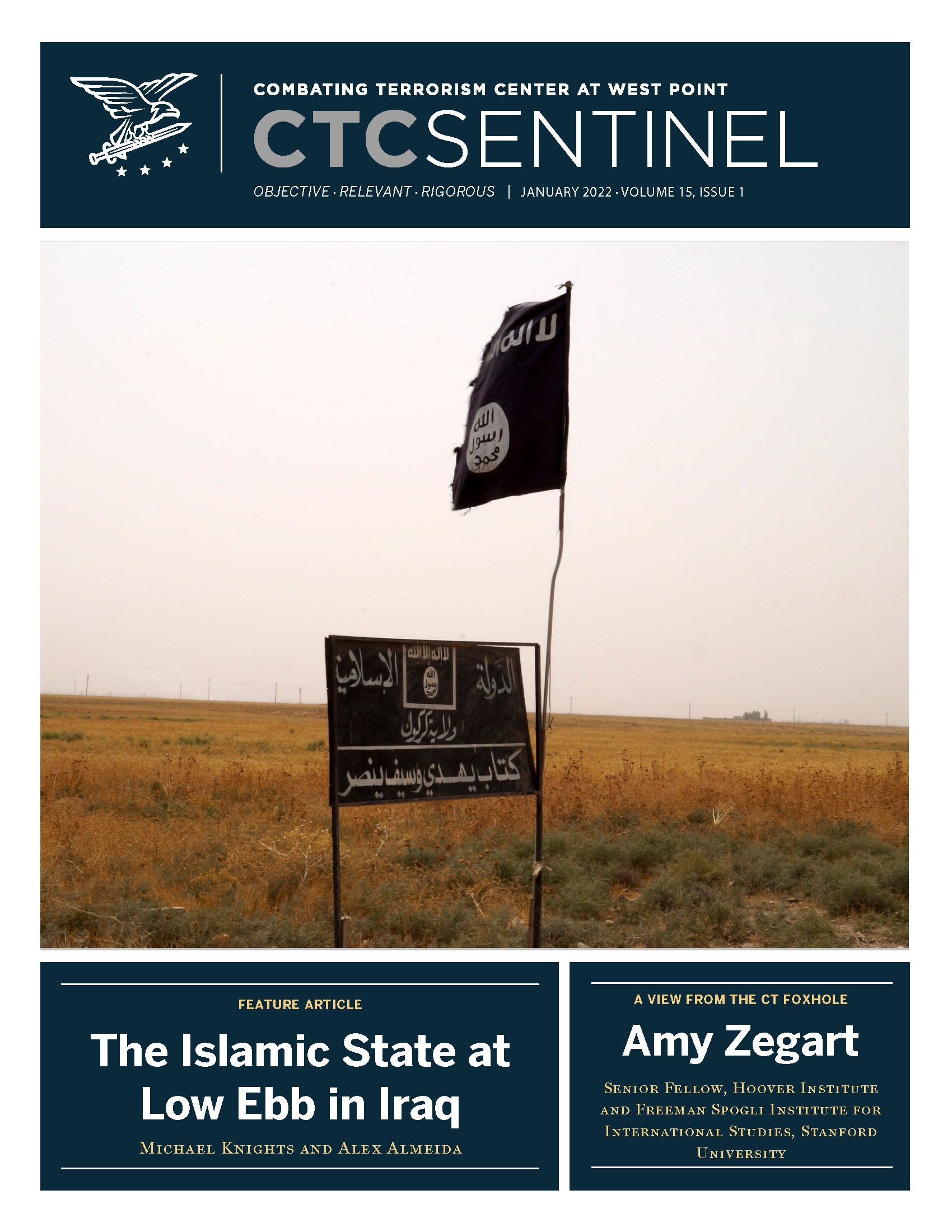 The Islamic State at Low Ebb in Iraq: The Insurgent Tide Recedes Again ...